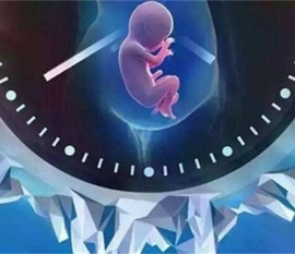 能从超声报告单上看到宝宝的性别吗？