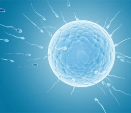 怀孕初期女性的体温会有所变化吗？为什么怀孕后体温会增高？